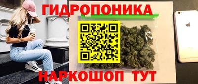 ешки Тверь