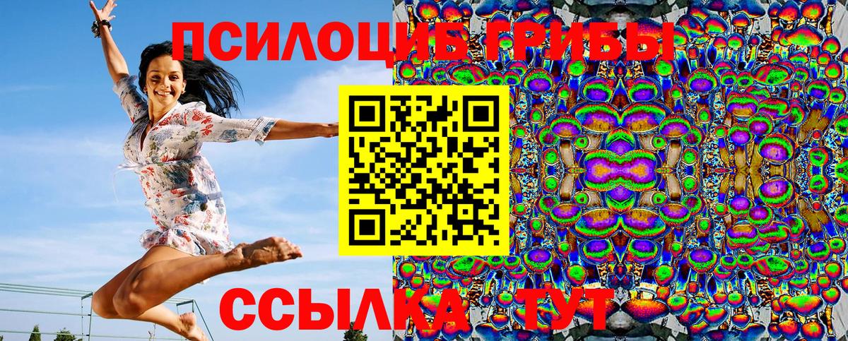 Псилоцибиновые грибы мухоморы  Псилоцибиновые грибы мухоморы  Алейск  Вход с VPN 