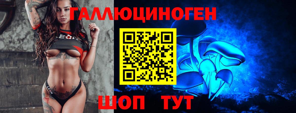 Псилоцибиновые грибы прущие грибы Алейск